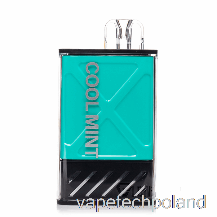 Jednorazowy Pojemnik Na Vape Instabar Ultra 12000 Cool Mint